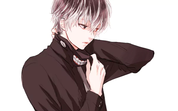 HD desktop wallpaper of Ken Kaneki/Haise Sasaki from Tokyo Ghoul:re, featuring his two-toned hair and heterochromia, set against a crisp, white background.