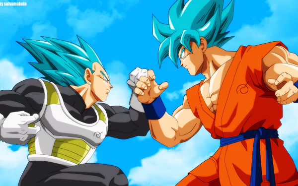 HD desktop wallpaper featuring Goku and Vegeta in their Super Saiyan Blue forms from Dragon Ball Super, engaging in a fierce battle with a bright blue sky in the background.