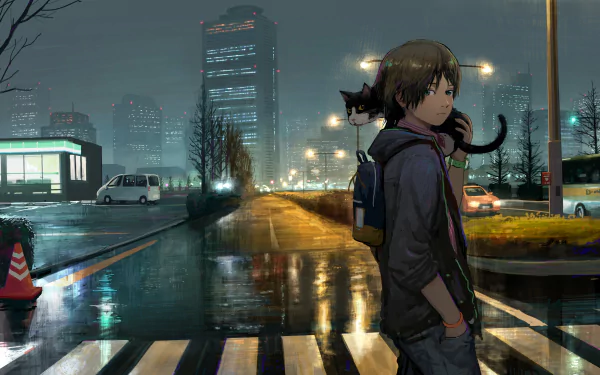 Anime boy holding a cat stands on a crosswalk in front of a rainy night cityscape with tall buildings and a road. The image is an HD desktop wallpaper and background.