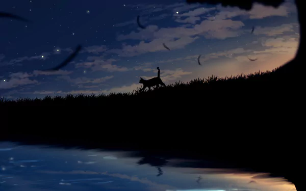 HD anime desktop wallpaper featuring a silhouette of a cat against a starry sky, with soft clouds and a reflective water surface below.