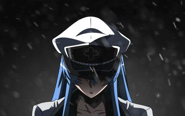 HD desktop wallpaper featuring Esdeath from Akame Ga Kill! in her military uniform, set against a dark, snowy background.