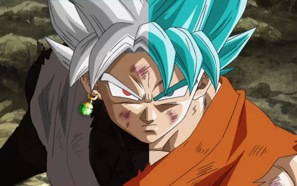 Anime desktop wallpaper featuring Dragon Ball Super characters Black Goku and Super Saiyan Blue Goku, each shown on half of the face. The background is a HD distressed battlefield setting.