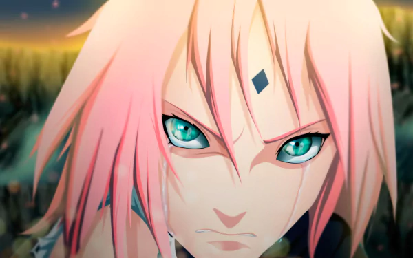 HD desktop wallpaper featuring Sakura Haruno from the anime Naruto, showing an intense expression with pink hair and green eyes.