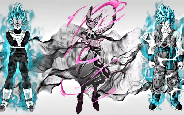 HD wallpaper featuring Beerus, SSGSS Vegeta, and Goku in their Super Saiyan Blue forms from Dragon Ball Super. The characters are positioned against a dynamic background, bringing anime action to your desktop.