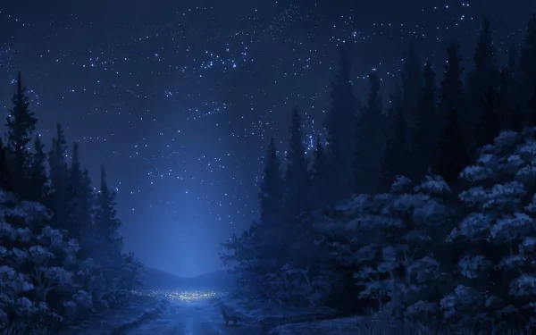 HD anime wallpaper featuring a serene forest at night under a starry sky, blending deep blues and silhouettes of trees for a captivating background.