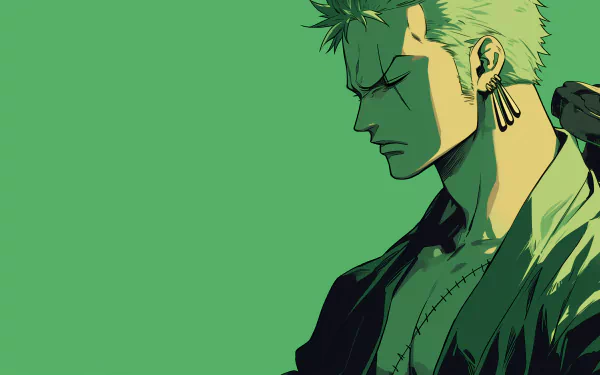 HD desktop wallpaper featuring anime character Roronoa Zoro from One Piece on a green background.