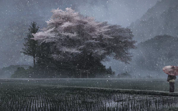 4K Ultra HD anime landscape wallpaper featuring a serene, snowy scene with cherry blossom trees and misty mountains under a starry sky.