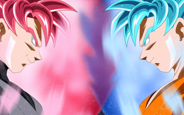 HD desktop wallpaper featuring Black Goku in Super Saiyan Rosé form facing Goku in Super Saiyan Blue form, from the anime series Dragon Ball Super. The background shows vibrant pink and blue auras.