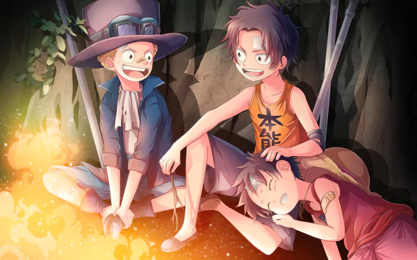 Colorful HD wallpaper from the anime One Piece, featuring characters gathered around a campfire, sharing joyful moments in a forest setting.