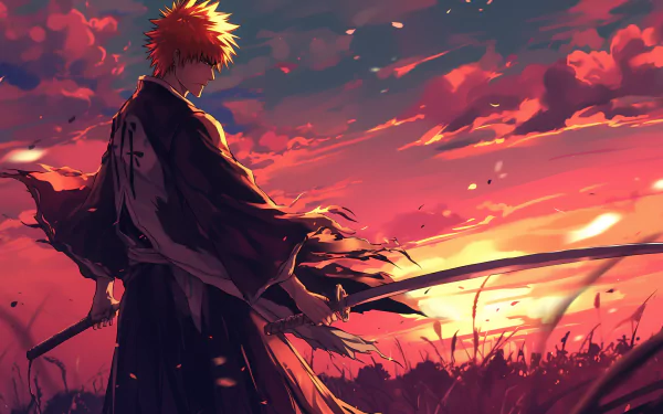 HD Anime Wallpaper featuring Ichigo Kurosaki from Bleach with a sunset background.