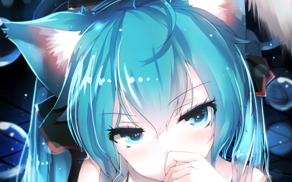 HD desktop wallpaper featuring Hatsune Miku from Vocaloid with blue hair and cat ears, exuding an anime aesthetic with a dreamy expression.