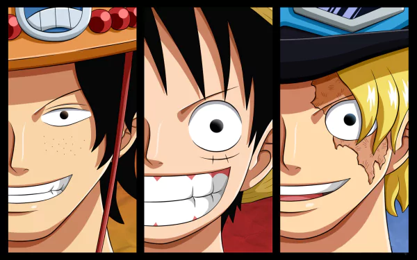 HD desktop wallpaper featuring Monkey D. Luffy, Portgas D. Ace, and Sabo from the anime One Piece, each smiling with black hair, pirate-themed attire.