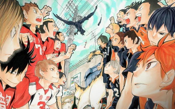 HD wallpaper featuring intense standoff between Karasuno High and Nekoma High volleyball teams from the anime Haikyū!!, created by Haruichi Furudate.