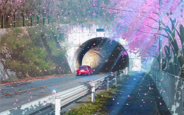 HD anime wallpaper featuring a street adorned with cherry blossoms (sakura), a car driving towards a tunnel under a canopy of pink flowers. Perfect road scene encapsulating both beauty and serenity.