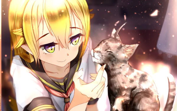 A vibrant HD desktop wallpaper featuring Shinobu Oshino from the Monogatari series, showcasing her playful interaction with a cat, surrounded by a warm, glowing atmosphere.