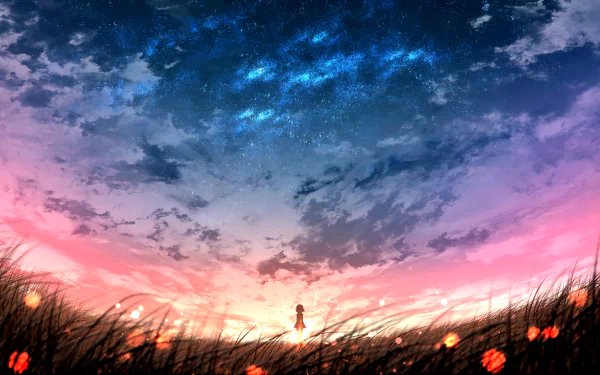 Anime-style HD desktop wallpaper depicting a person standing in a field at sunset, with a vibrant sky transitioning from deep blue to rich pink.