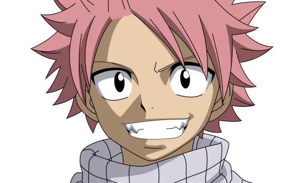 HD desktop wallpaper featuring Natsu Dragneel from the anime Fairy Tail, showcasing a close-up of Natsu's face with a confident smile and his signature pink hair.