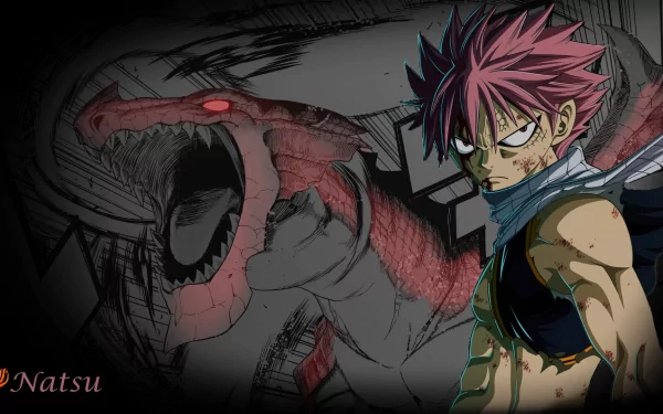 HD desktop wallpaper featuring Natsu Dragneel from Fairy Tail standing confidently in front of a fierce, red-eyed dragon. The background blends an intense anime art style with dark shading.
