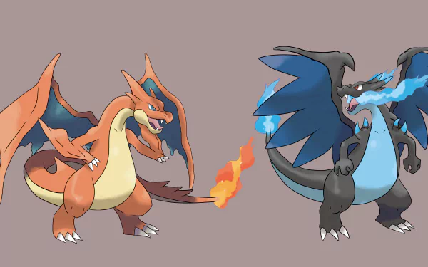 HD desktop wallpaper featuring Charizard and its Mega Evolutions, Mega Charizard Y (left, orange) and Mega Charizard X (right, black and blue) from Pokémon.
