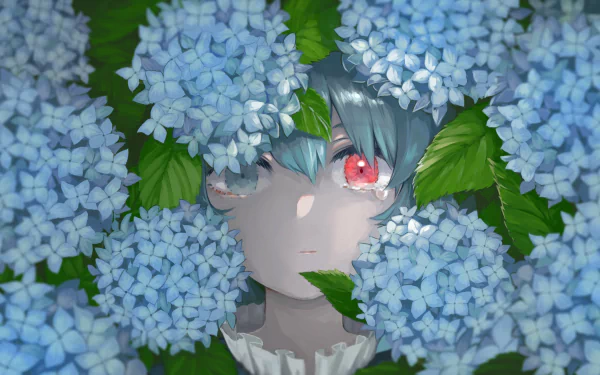 HD desktop wallpaper of Kogasa Tatara from Touhou, partially hidden by blue hydrangeas, showcasing her striking heterochromia with one red eye.