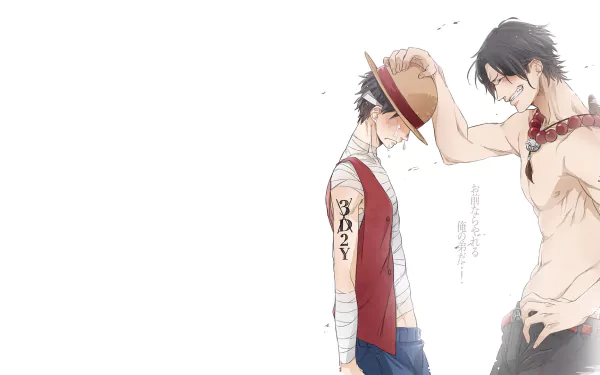 HD wallpaper of One Piece characters Portgas D. Ace and Monkey D. Luffy sharing a moment, with Ace placing Luffy's hat on his head.