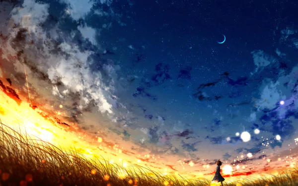 HD desktop wallpaper depicting an anime-inspired sunset transitioning into a starry sky. A silhouetted figure stands amidst tall grass under a crescent moon.