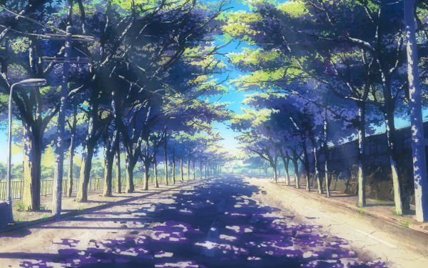 A high-definition anime-style wallpaper depicting a road lined with tall, leafy trees. Sunlight filters through the branches, illuminating the path with dappled light.