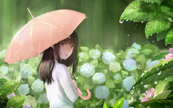 An anime girl stands under a pink umbrella in the rain, surrounded by lush green foliage and blooming hydrangeas. This HD desktop wallpaper evokes a serene and tranquil atmosphere.