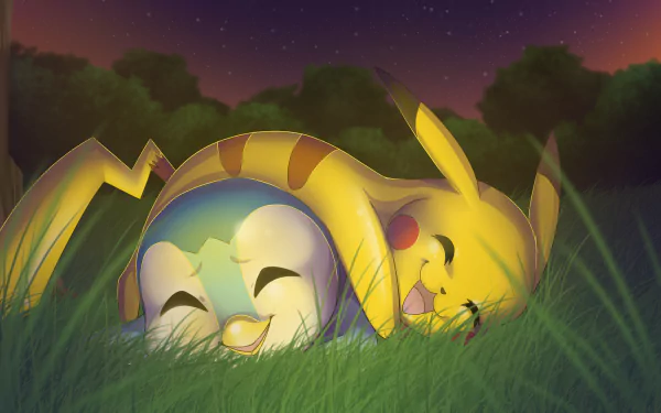 A HD desktop wallpaper featuring Pikachu and Piplup from Pokémon, sharing a cute and happy moment in the grass under a starry night sky, with anime-style artwork.