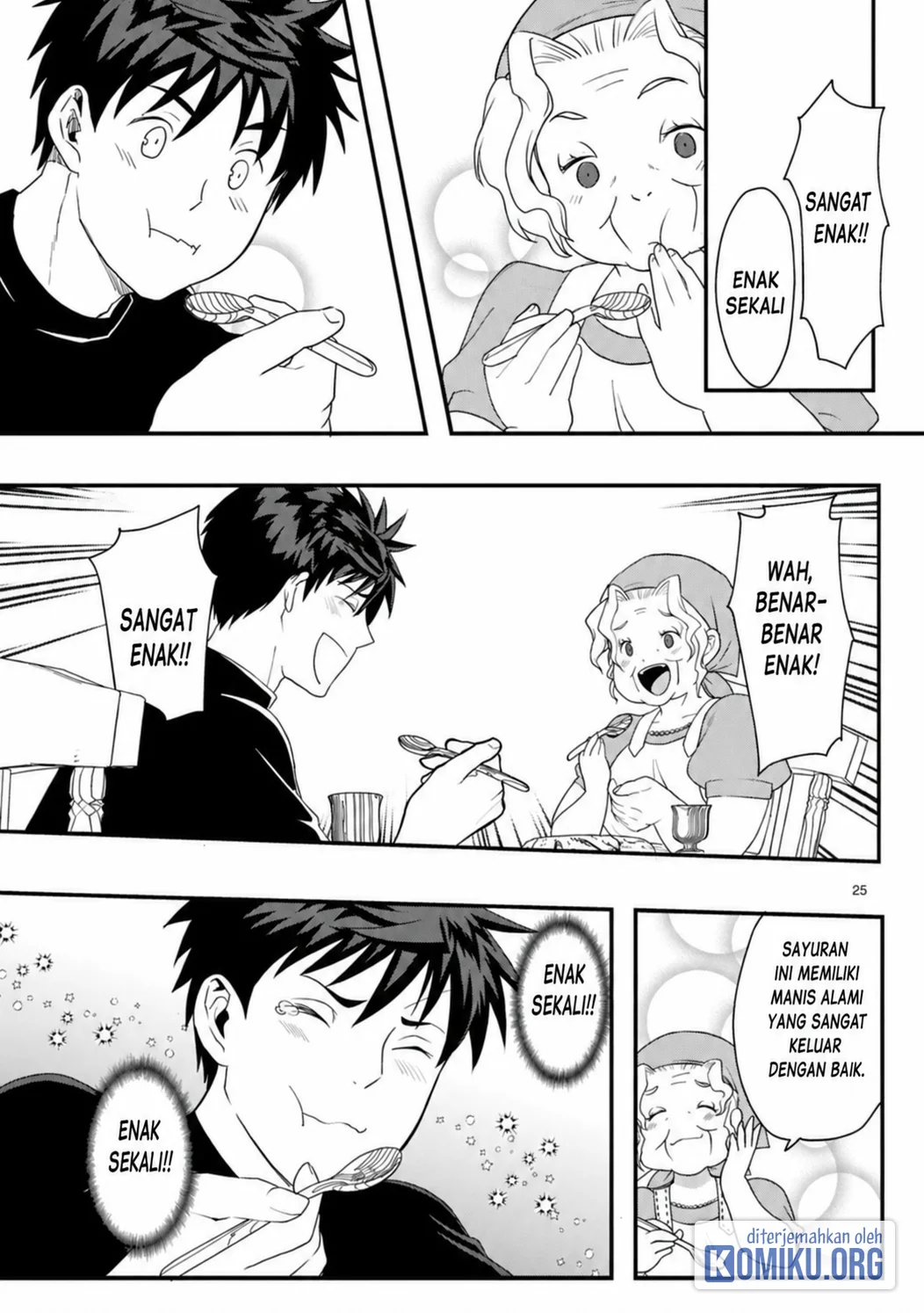Page 25